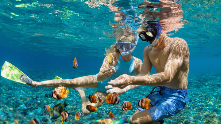 Snorkeling couple encountering tropical fish.
