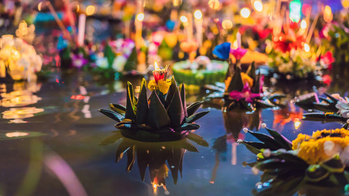 Lotus lanterns on the water during Bangkok's Loy Krathong festival.