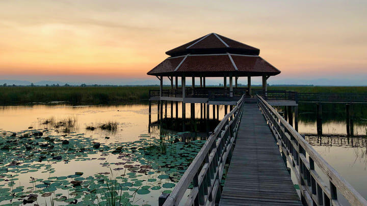 Bueng Bua Boardwalk