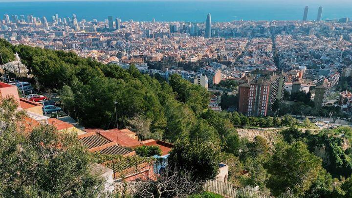 View over Barcelona cityscape from Bunkers of Carmel, with bushes in foreground