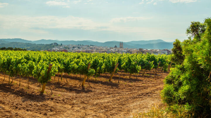 Best Bus Tours in Barcelona