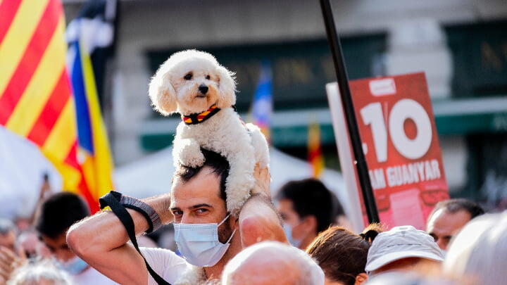 A man holding a dog atop his head during a Barcelona procession
