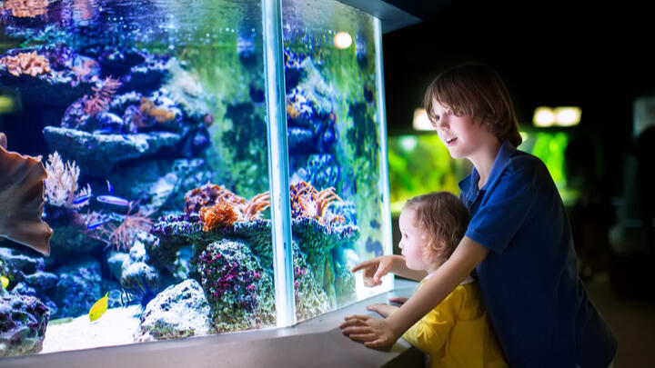 things to do in barcelona with kids