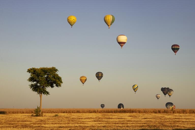 Several ballons at The European Balloon Festival