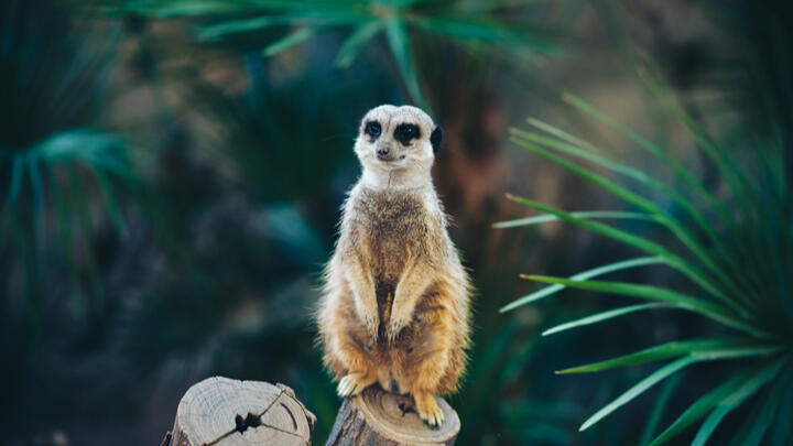 zoológico de outono de barcelona