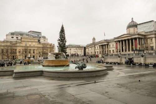 Trafalgar Square with the National Gallery and a large Christmas Tree