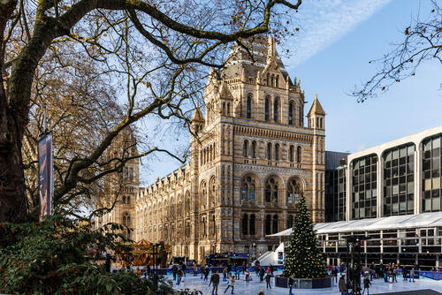 Ice skating outside the Natual History Museum in London