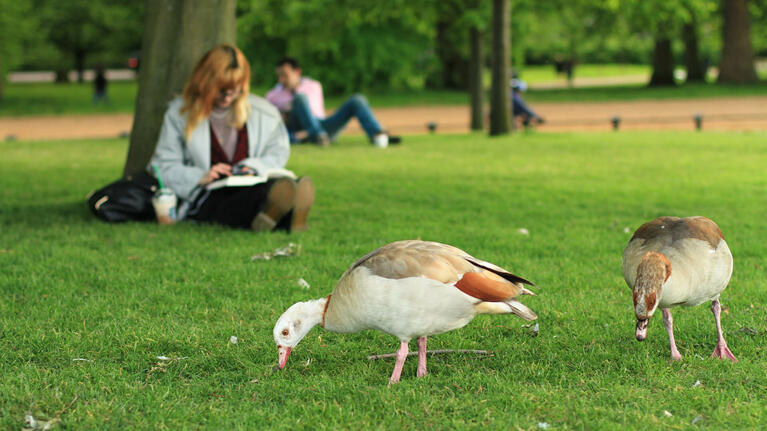 People enjoying Hyde Park London