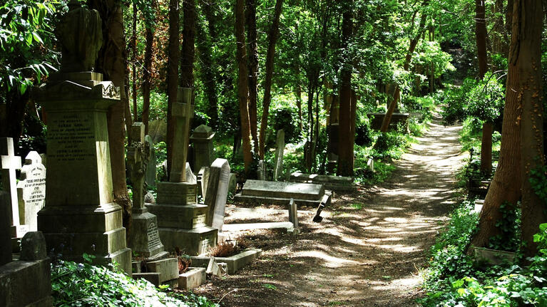 The dappled paths of historic Highgate Cemetery